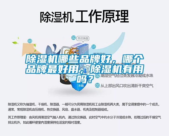 除濕機哪些品牌好，哪個品牌最好用，除濕機有用嗎？