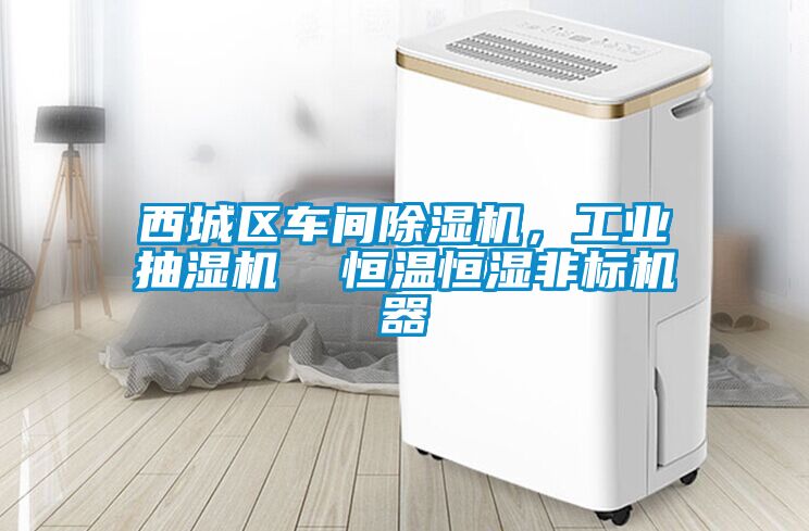 西城區車間除濕機，工業抽濕機  恒溫恒濕非標機器