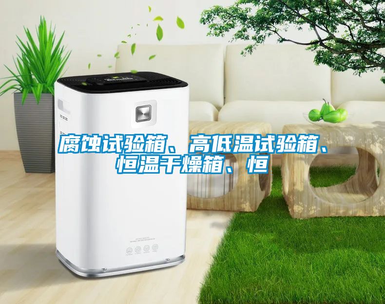 腐蝕試驗(yàn)箱、高低溫試驗(yàn)箱、恒溫干燥箱、恒