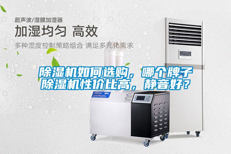 除濕機如何選購，哪個牌子除濕機性價比高，靜音好？