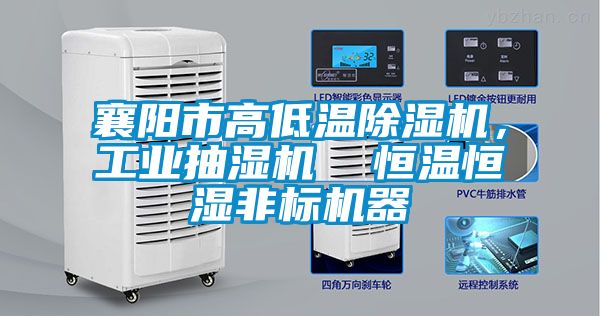 襄陽市高低溫除濕機，工業(yè)抽濕機  恒溫恒濕非標機器