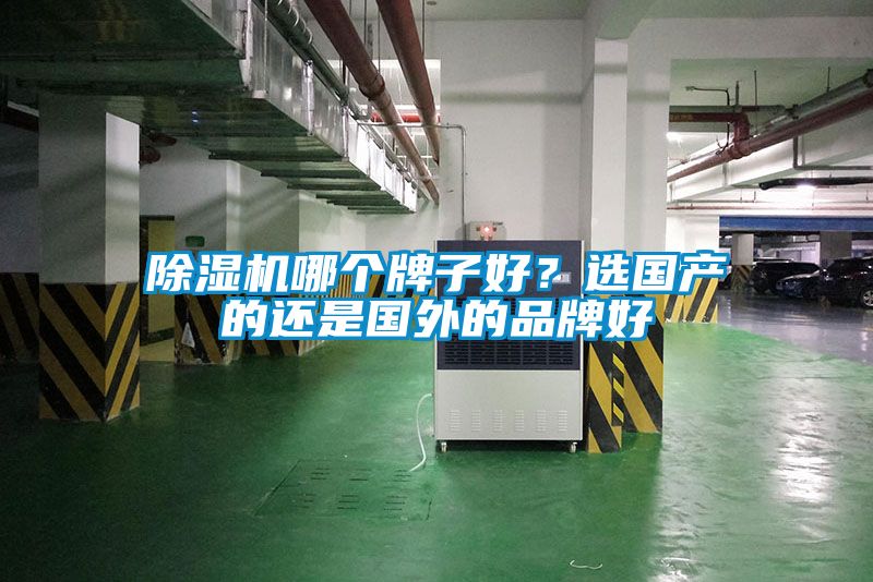 除濕機(jī)哪個(gè)牌子好？選國產(chǎn)的還是國外的品牌好