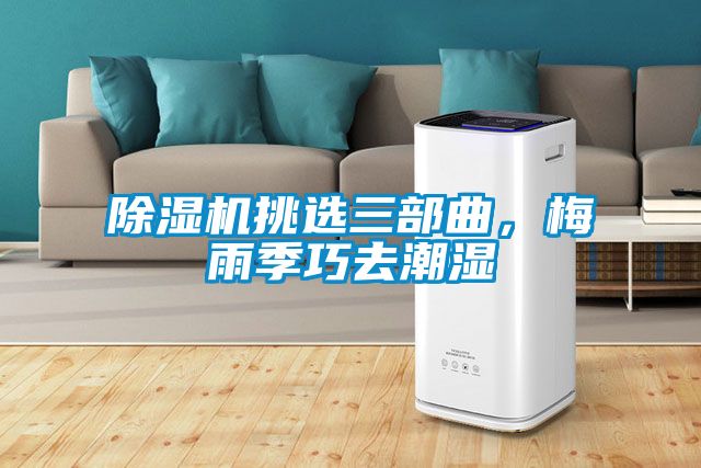 除濕機挑選三部曲，梅雨季巧去潮濕