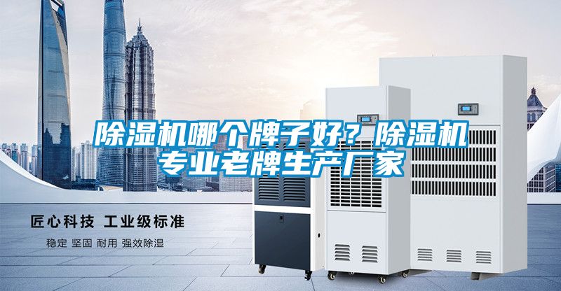 除濕機(jī)哪個(gè)牌子好？除濕機(jī)專業(yè)老牌生產(chǎn)廠家