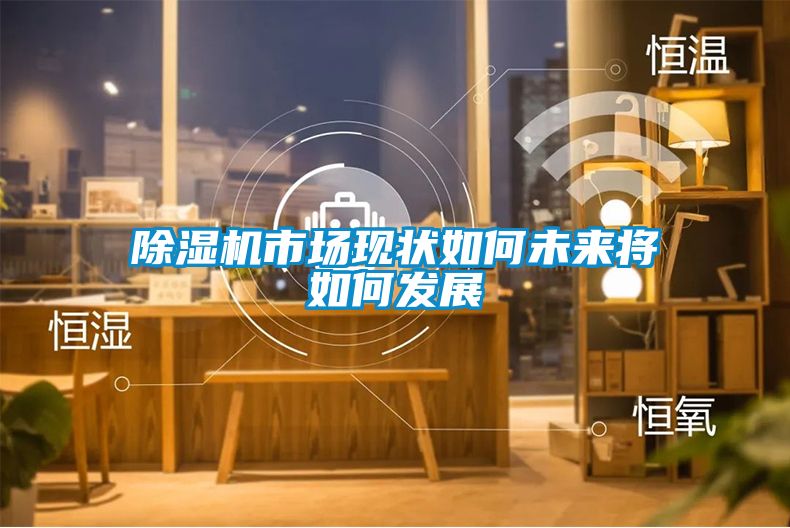 除濕機(jī)市場(chǎng)現(xiàn)狀如何未來(lái)將如何發(fā)展