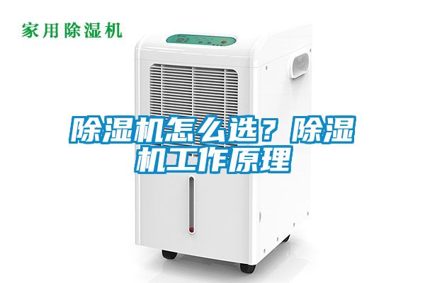 除濕機怎么選？除濕機工作原理