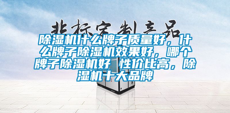 除濕機(jī)什么牌子質(zhì)量好，什么牌子除濕機(jī)效果好，哪個(gè)牌子除濕機(jī)好 性價(jià)比高，除濕機(jī)十大品牌