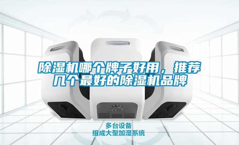 除濕機哪個牌子好用，推薦幾個最好的除濕機品牌