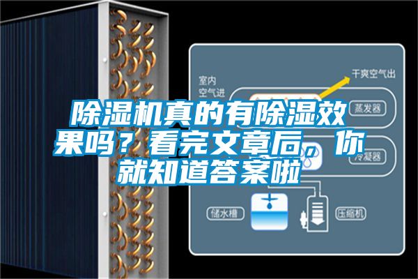 除濕機(jī)真的有除濕效果嗎？看完文章后，你就知道答案啦