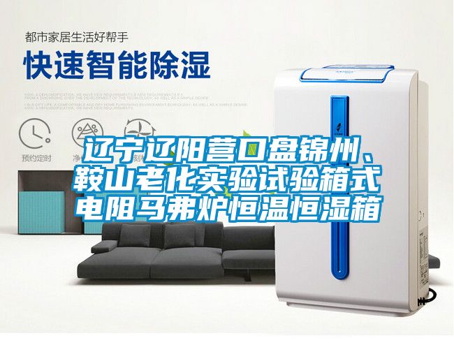 遼寧遼陽營口盤錦州、鞍山老化實(shí)驗(yàn)試驗(yàn)箱式電阻馬弗爐恒溫恒濕箱