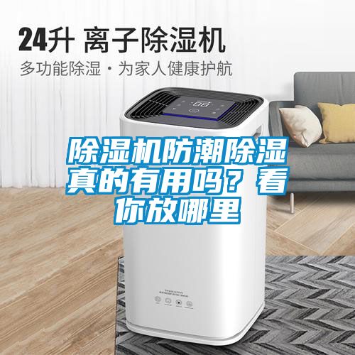 除濕機防潮除濕真的有用嗎？看你放哪里