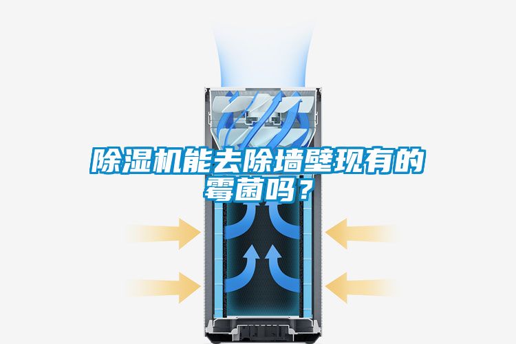 除濕機能去除墻壁現(xiàn)有的霉菌嗎？