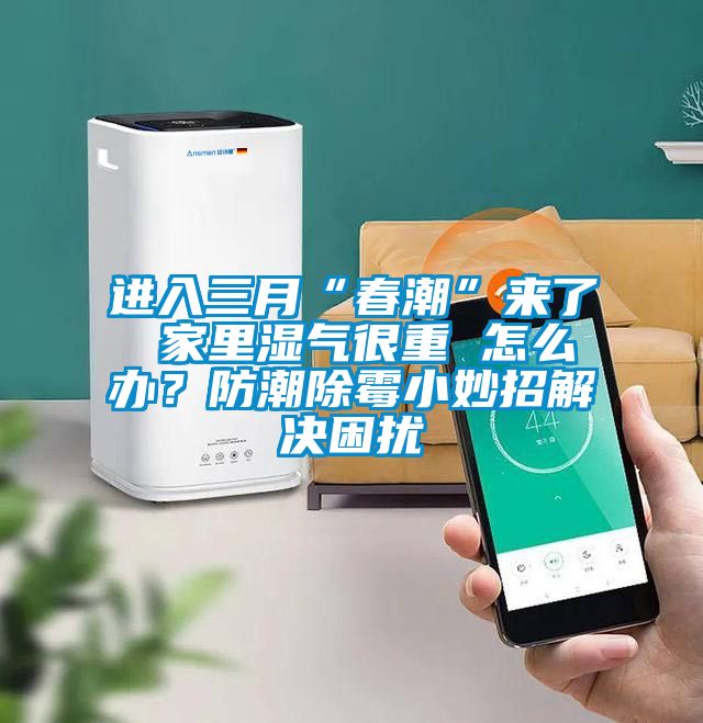 進入三月“春潮”來了 家里濕氣很重 怎么辦？防潮除霉小妙招解決困擾