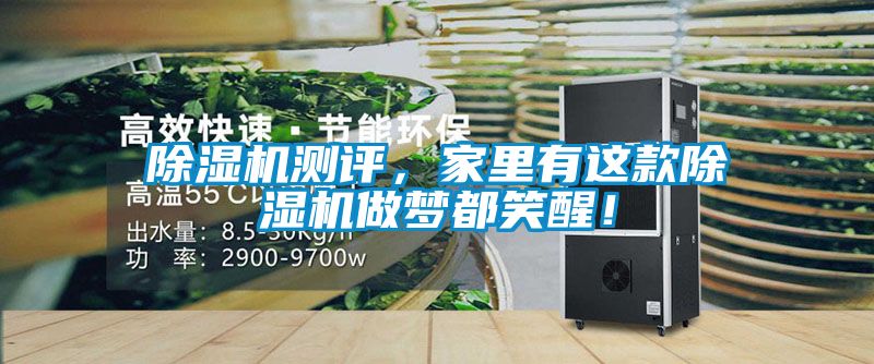 除濕機(jī)測評，家里有這款除濕機(jī)做夢都笑醒！