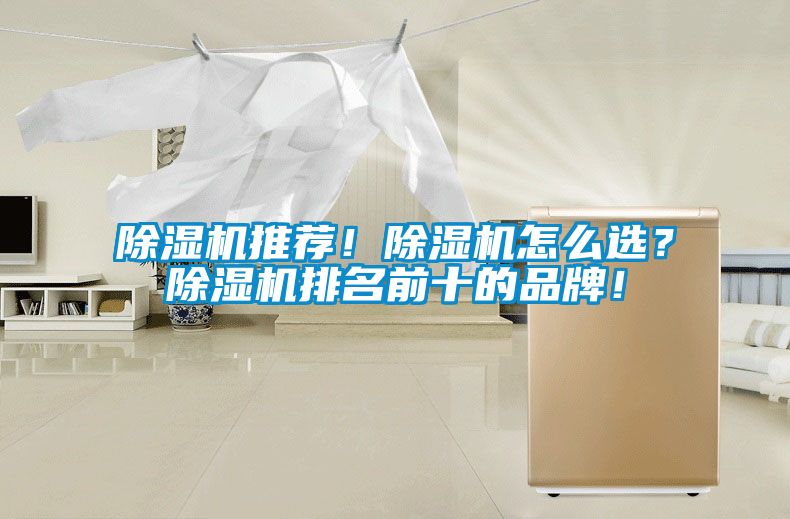 除濕機推薦！除濕機怎么選？除濕機排名前十的品牌！