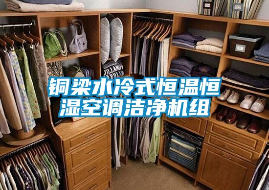 銅梁水冷式恒溫恒濕空調(diào)潔凈機組