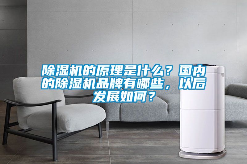 除濕機的原理是什么？國內的除濕機品牌有哪些，以后發展如何？