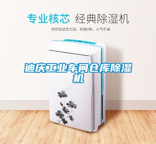迪慶工業(yè)車間倉(cāng)庫(kù)除濕機(jī)