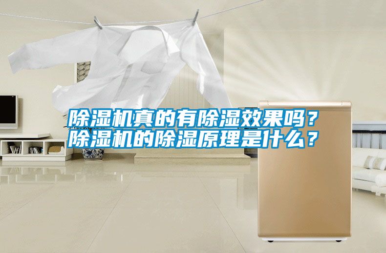 除濕機(jī)真的有除濕效果嗎？除濕機(jī)的除濕原理是什么？