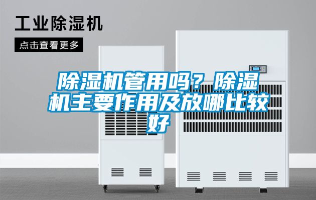 除濕機(jī)管用嗎？除濕機(jī)主要作用及放哪比較好