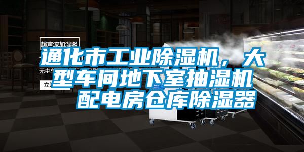 通化市工業(yè)除濕機(jī)，大型車間地下室抽濕機(jī)  配電房倉(cāng)庫(kù)除濕器