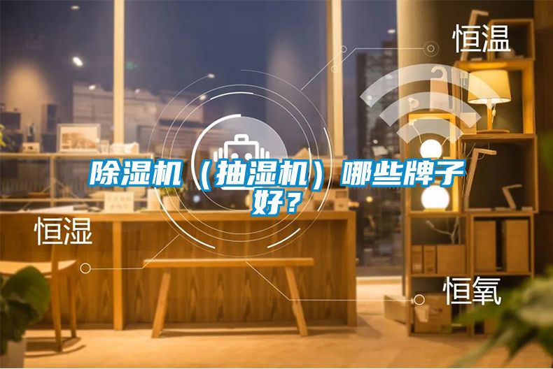 除濕機(jī)（抽濕機(jī)）哪些牌子好？
