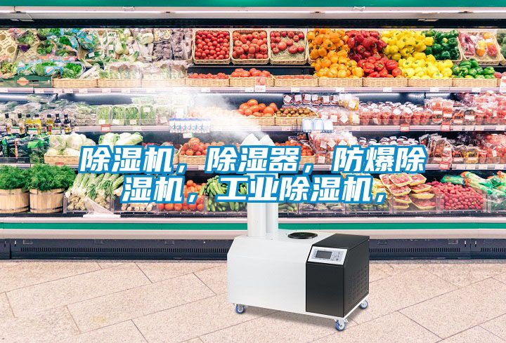 除濕機，除濕器，防爆除濕機，工業(yè)除濕機，