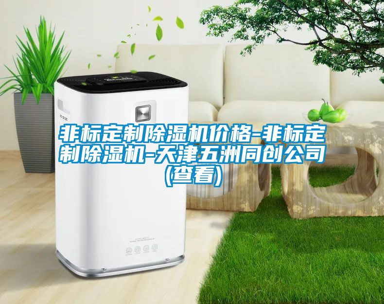 非標(biāo)定制除濕機價格-非標(biāo)定制除濕機-天津五洲同創(chuàng)公司(查看)