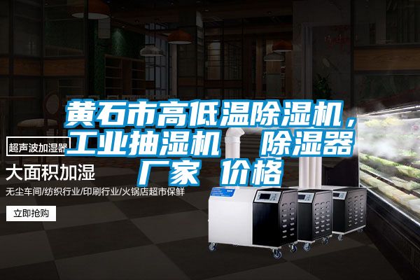 黃石市高低溫除濕機(jī)，工業(yè)抽濕機(jī)  除濕器廠家 價(jià)格