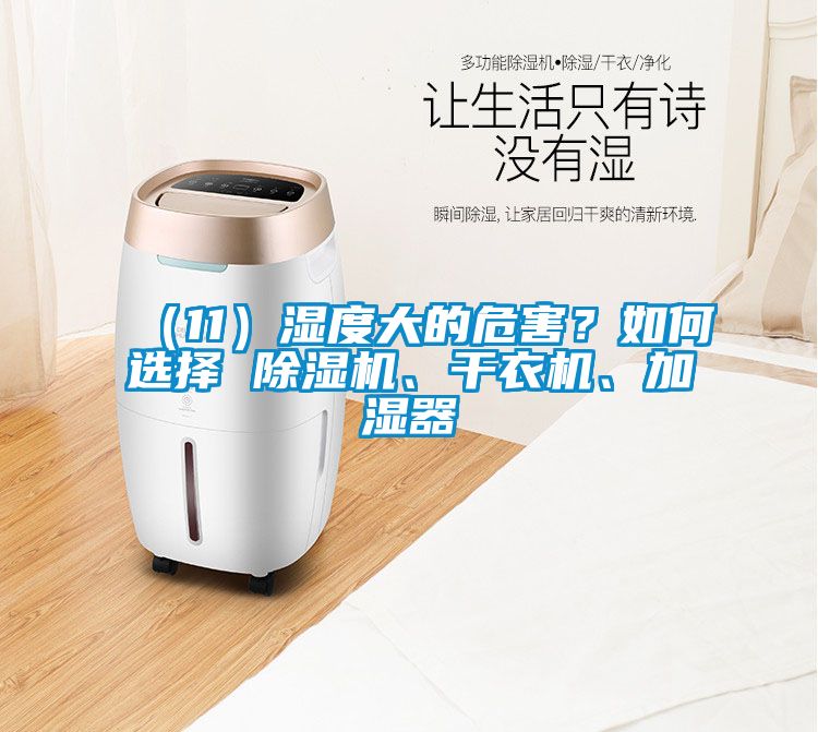 （11）濕度大的危害？如何選擇 除濕機、干衣機、加濕器