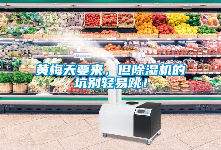 黃梅天要來，但除濕機的坑別輕易跳！