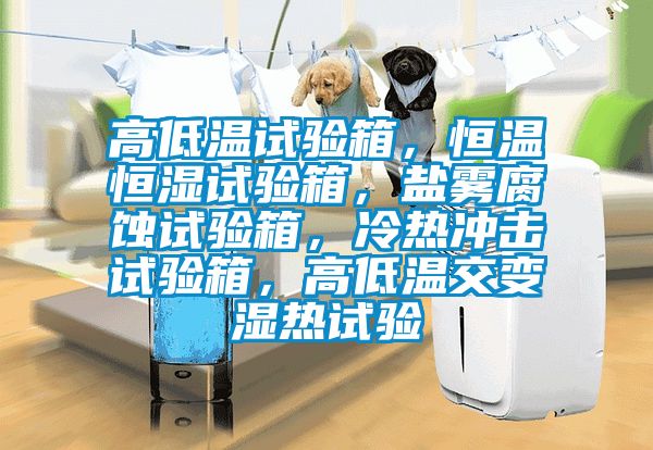 高低溫試驗箱，恒溫恒濕試驗箱，鹽霧腐蝕試驗箱，冷熱沖擊試驗箱，高低溫交變濕熱試驗