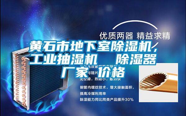 黃石市地下室除濕機(jī)，工業(yè)抽濕機(jī)  除濕器廠家 價(jià)格