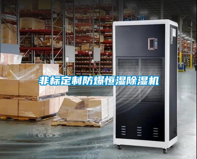 非標(biāo)定制防爆恒濕除濕機