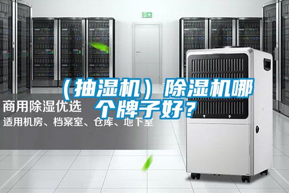 （抽濕機）除濕機哪個牌子好？