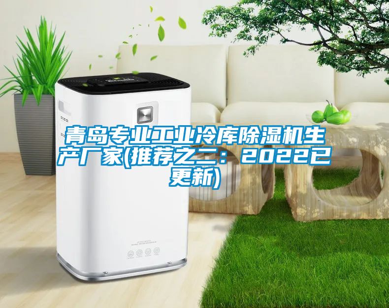 青島專業(yè)工業(yè)冷庫除濕機生產廠家(推薦之二：2022已更新)