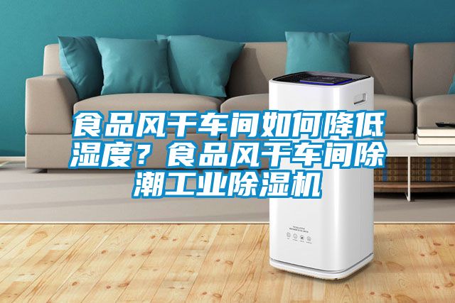 食品風干車間如何降低濕度？食品風干車間除潮工業(yè)除濕機